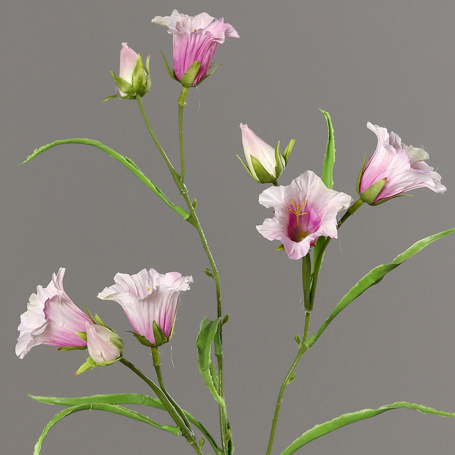 Halvány rózsaszín színű mű harangvirág.