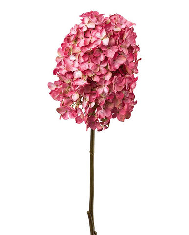 Pink színárnyalatú hortenzia művirág.