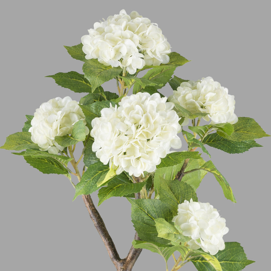 Krémszínű mű hortenzia bokor.