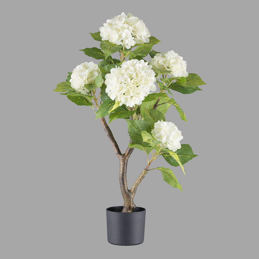 Krémszínű mű hortenzia bokor.