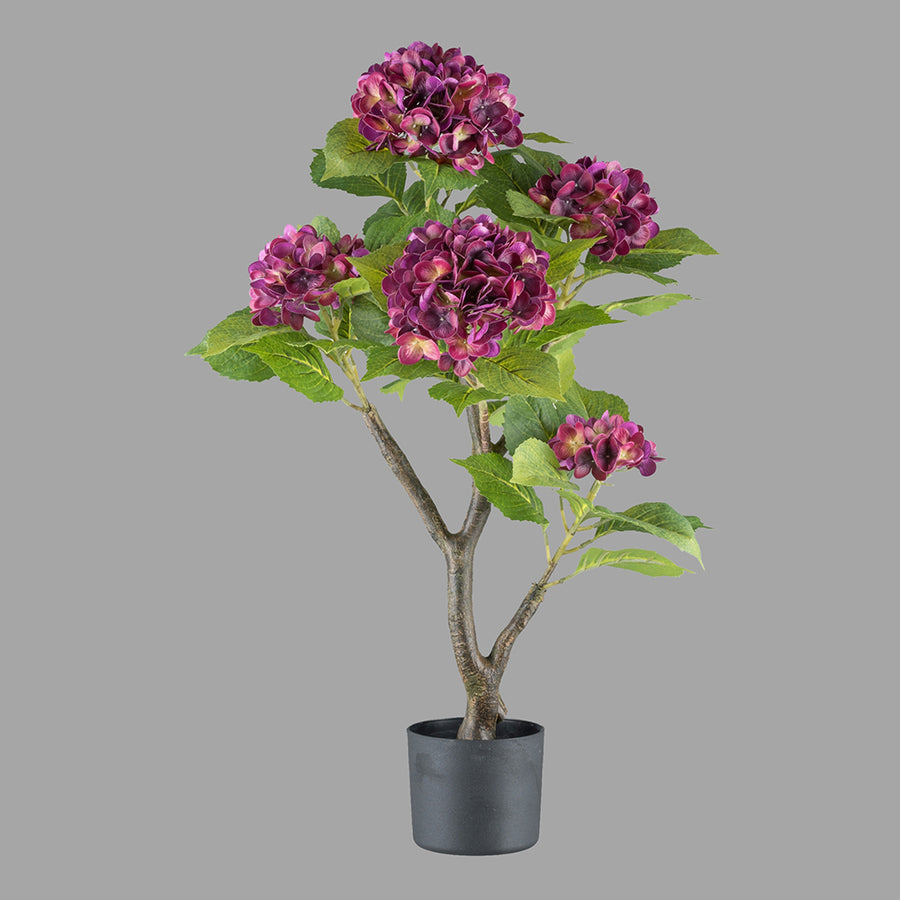 Lila színű mű hortenzia bokor.