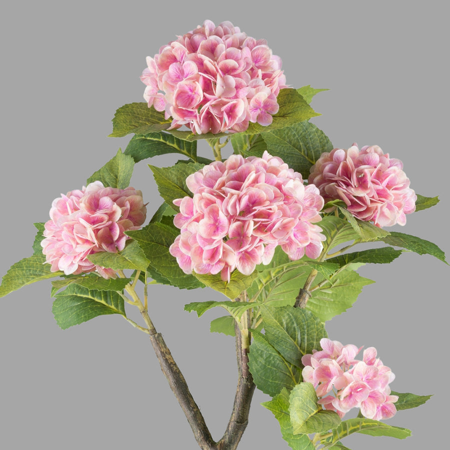 Rózsaszín színű mű hortenzia bokor.