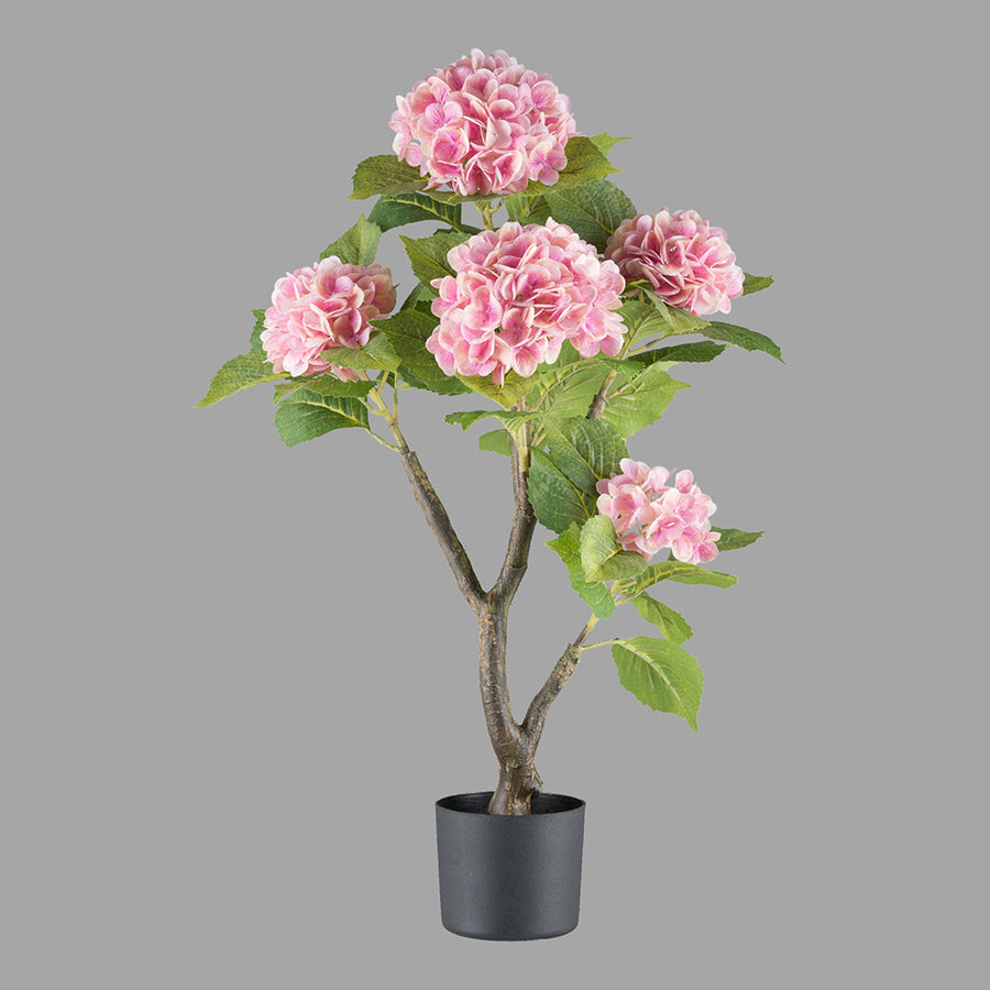 Rózsaszín színű mű hortenzia bokor.