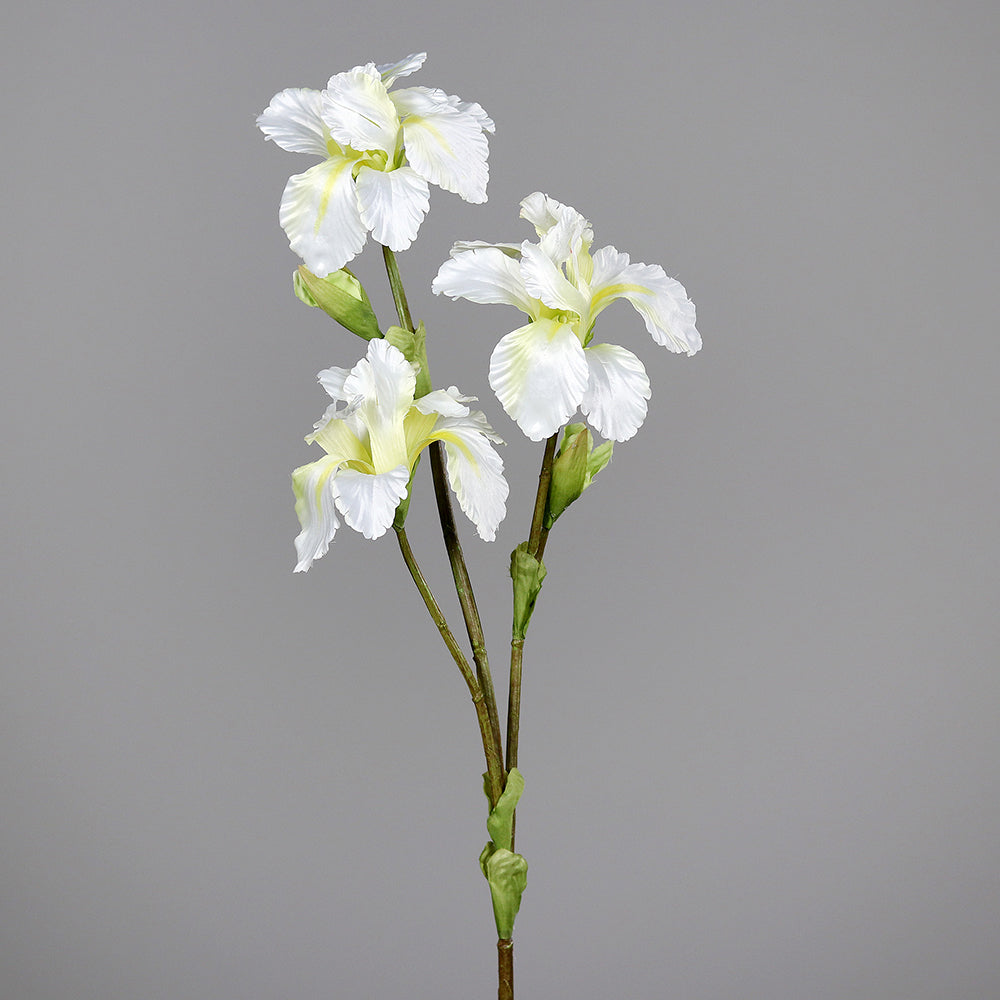 Írisz művirág 80 cm krém "Iris"