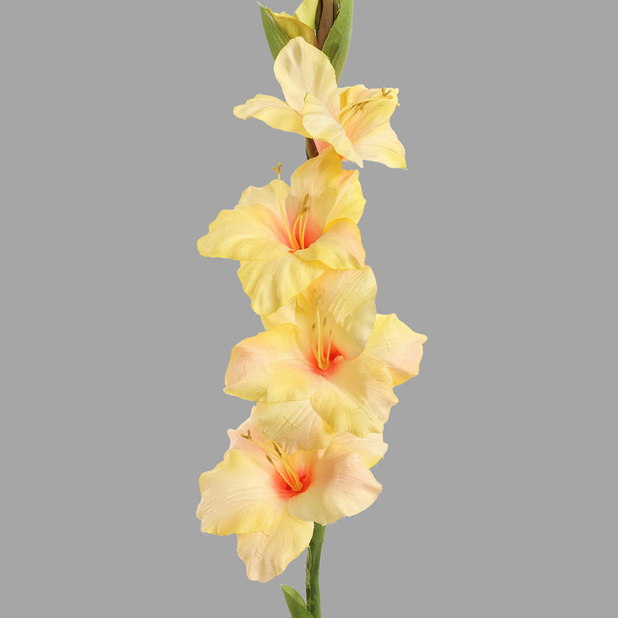 Sárga színű, mű kardvirág.