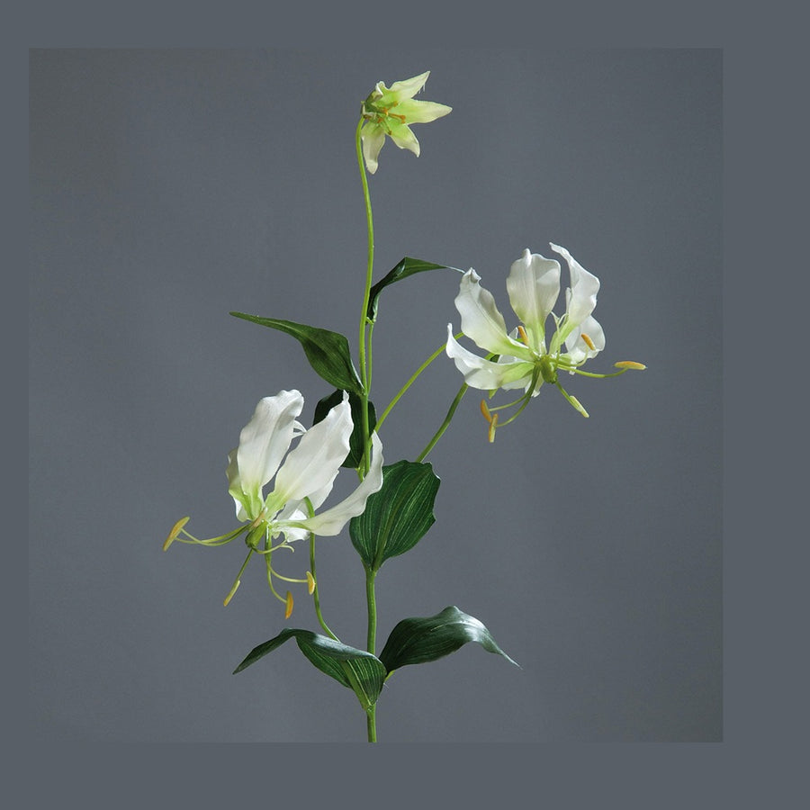 Krémszínű koronásliliom művirág.