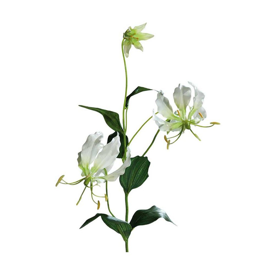 Krémszínű koronásliliom művirág.