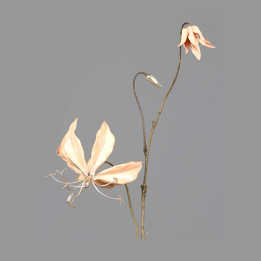 Fényes lazacszínű koronásliliom művirág .