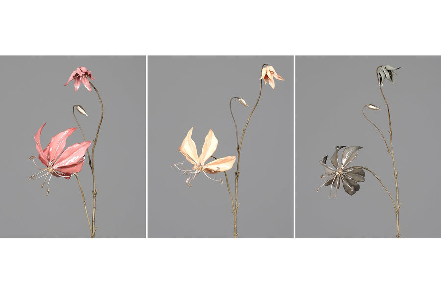 Fényes lazacszínű koronásliliom művirág .