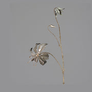 Fényes szürke színű koronásliliom művirág.