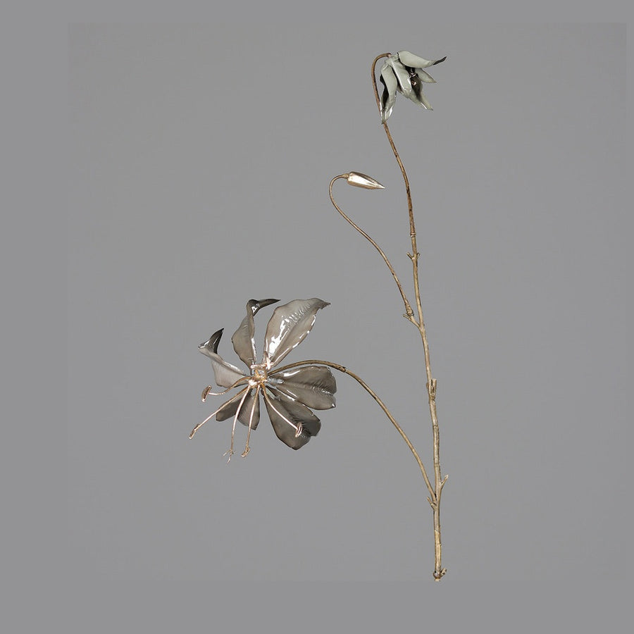 Fényes szürke színű koronásliliom művirág.