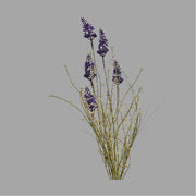 Liláskék színű, mezei levendula művirág.