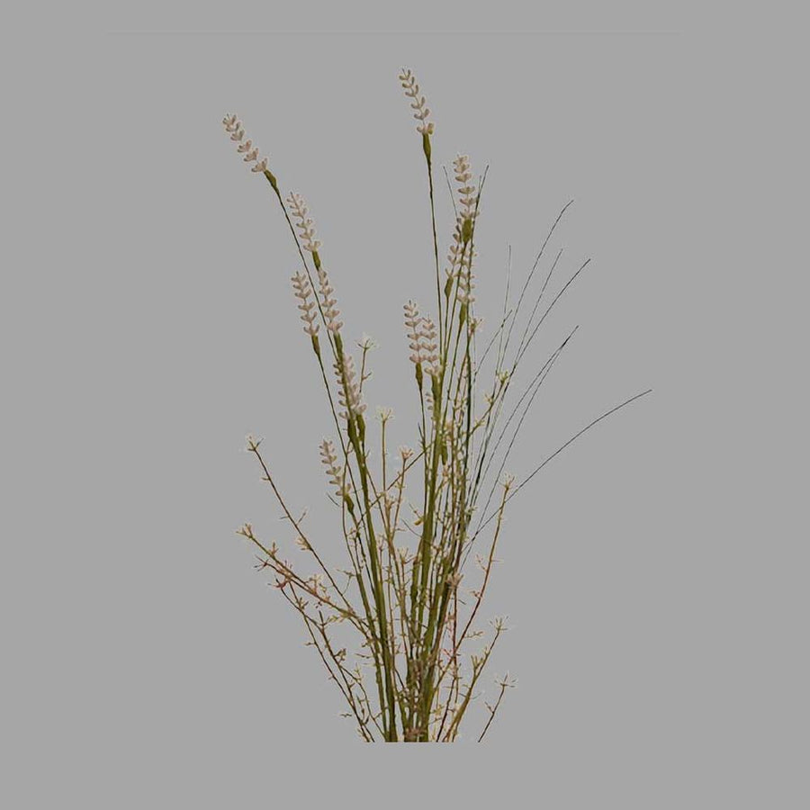 Krém színű, mezei levendula művirág.