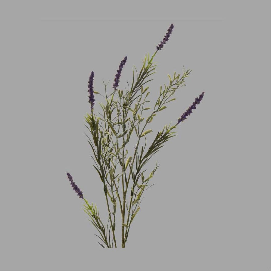 Liláskék színű, mezei levendula művirág.