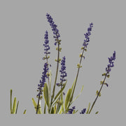 Mű levendula virágcsokor.