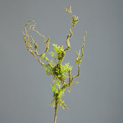 Zöld színű, mohás felületű, mű lián ág.