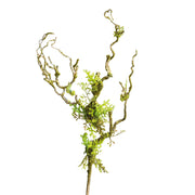 Zöld színű, mohás felületű, mű lián ág.