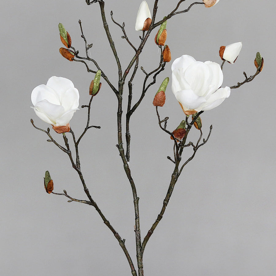 Krémszínű magnólia művirág, nyílt, bimbós és rügyező virágokkal.