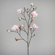 Halvány rózsaszín színű magnólia művirág, nyílt, bimbós és rügyező virágokkal.