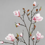 Halvány rózsaszín színű magnólia művirág, nyílt, bimbós és rügyező virágokkal.