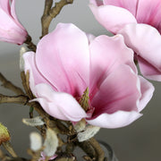 Halvány rózsaszín színű, mű magnólia kompozíció, modern formájú üvegvázában..