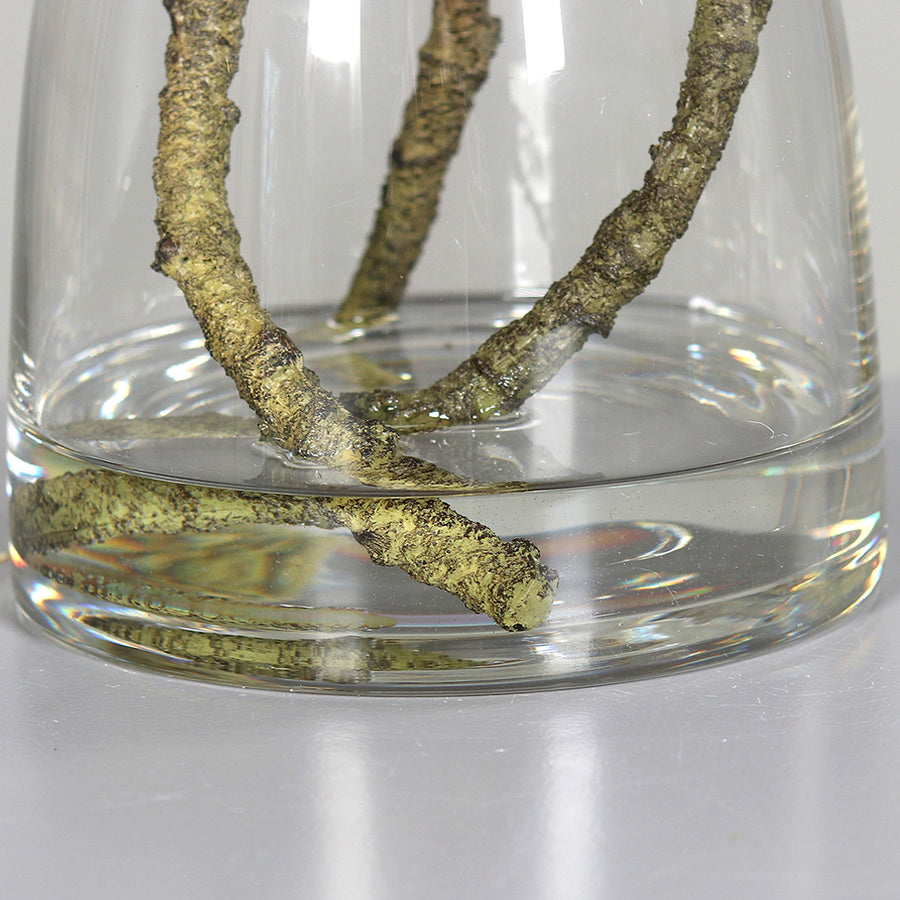 Krémszínű, mű magnólia kompozíció, modern formájú üvegvázában..