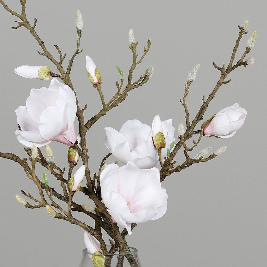 Krémszínű, mű magnólia kompozíció, modern formájú üvegvázában..