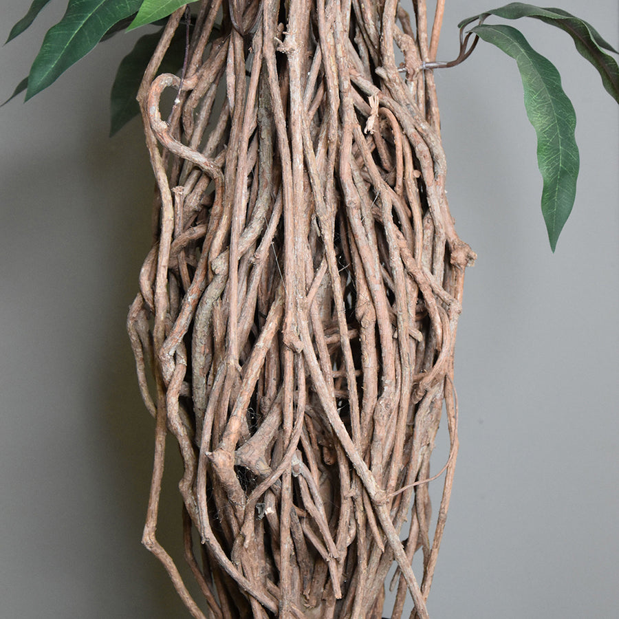 Cserepes mangófa műnövény.