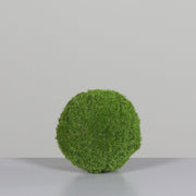 Dekorációs mű moha labda.