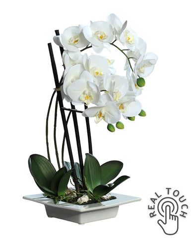Fehér színű mű orchidea, négyzet alakú lapos kerámia kaspóban.
