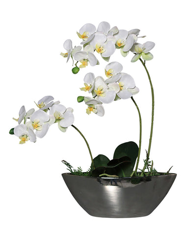 Krémszínű mű orchidea, ezüstszínű kerámia kaspóban.