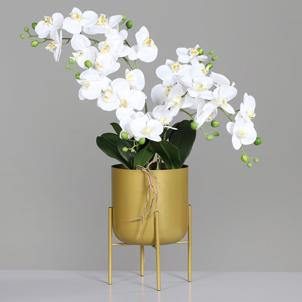 Krémszínű mű orchidea, aranyszínű fém kaspóban.