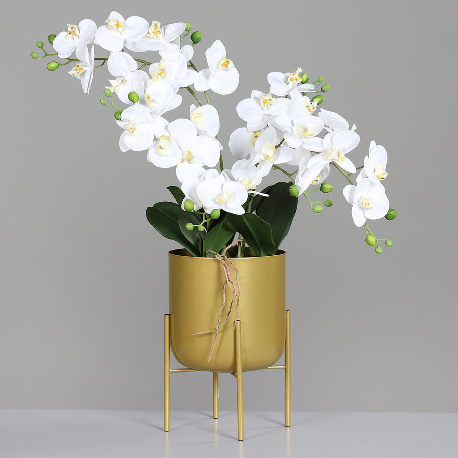 Élethű orchidea virágok és bimbók közelről, Real Touch hatással.