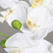 Élethű zöld bimbók és orchidea részletek aranyszínű kaspóban.