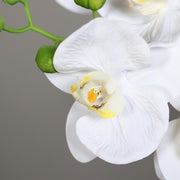 Részletgazdag krémszínű mű orchidea virág és zöld bimbó nagyítva.