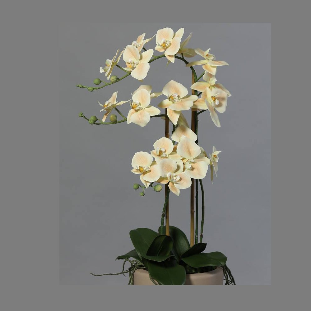 Púderszínű mű orchidea, világosbarna kerámia kaspóban.