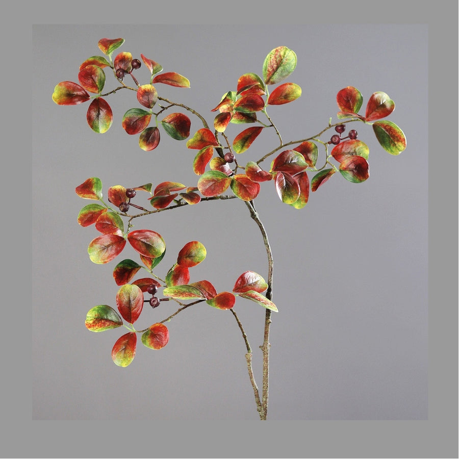 Hervadó levelű mű őszi bogyós lombhullató ág.