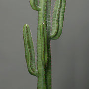 Zöld színű, mesterséges San Pedro kaktusz.