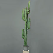 Zöld színű, mesterséges San Pedro kaktusz.