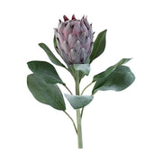 Bársonyos tapintású, lila színű, szálas mű protea virág.