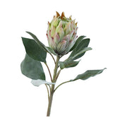 Bársonyos tapintású,, zöld színű szálas mű protea virág.