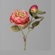 Szárított megjelenésű,, fáradt pink színű mű rózsaszál.