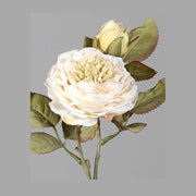 Szárított megjelenésű,, fáradt krém színű mű rózsaszál.