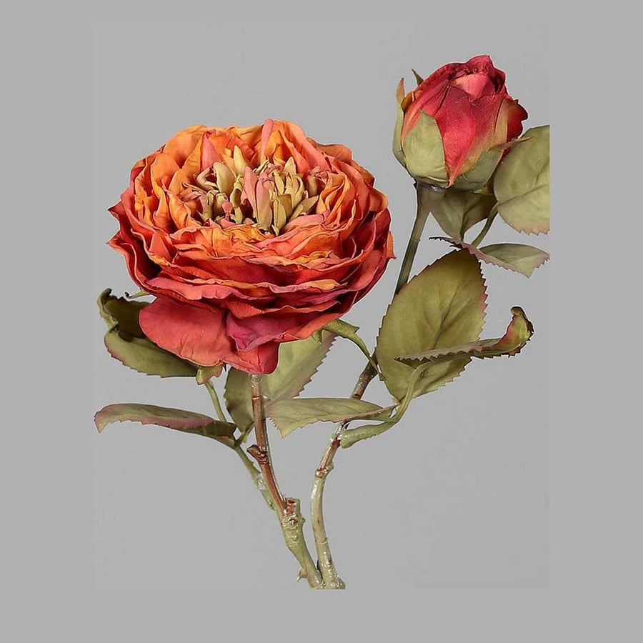 Szárított megjelenésű,, fáradt narancs színű mű rózsaszál .