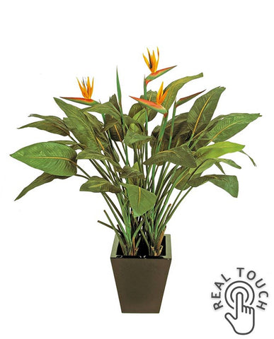 Virágzó strelitzia műnövény.