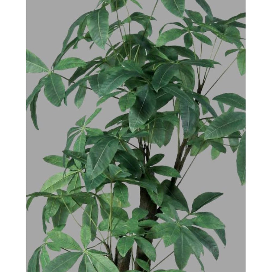 Vadkakaó fa műnövény, fekete színű műanyag cserépben.