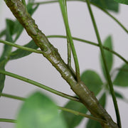 Vadkakaó fa műnövény, fekete színű műanyag cserépben.