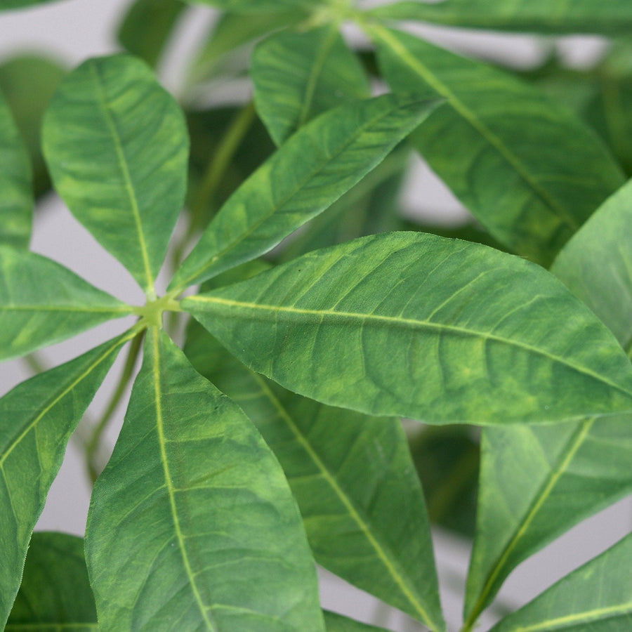 Vadkakaó fa műnövény, fekete színű műanyag cserépben.