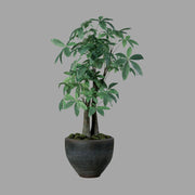 Vadkakaó fa műnövény, fekete színű műanyag cserépben.