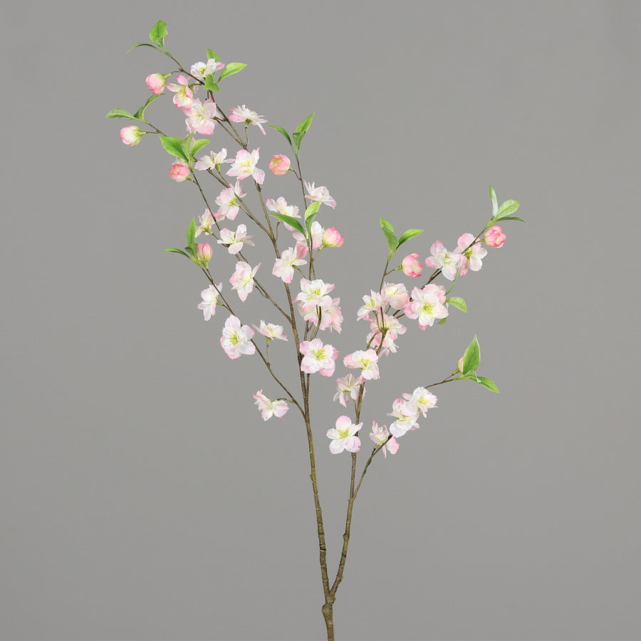 Virágzó mű cseresznyefa ág, halvány rózsaszín színű nyílt és bimbós virágokkal.